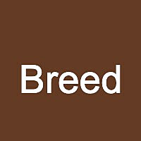 Breed